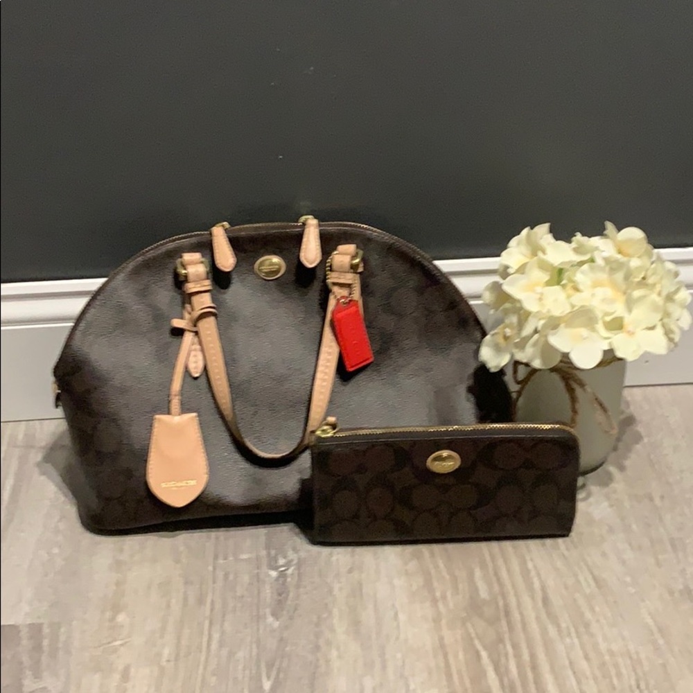 Coach handbag only.